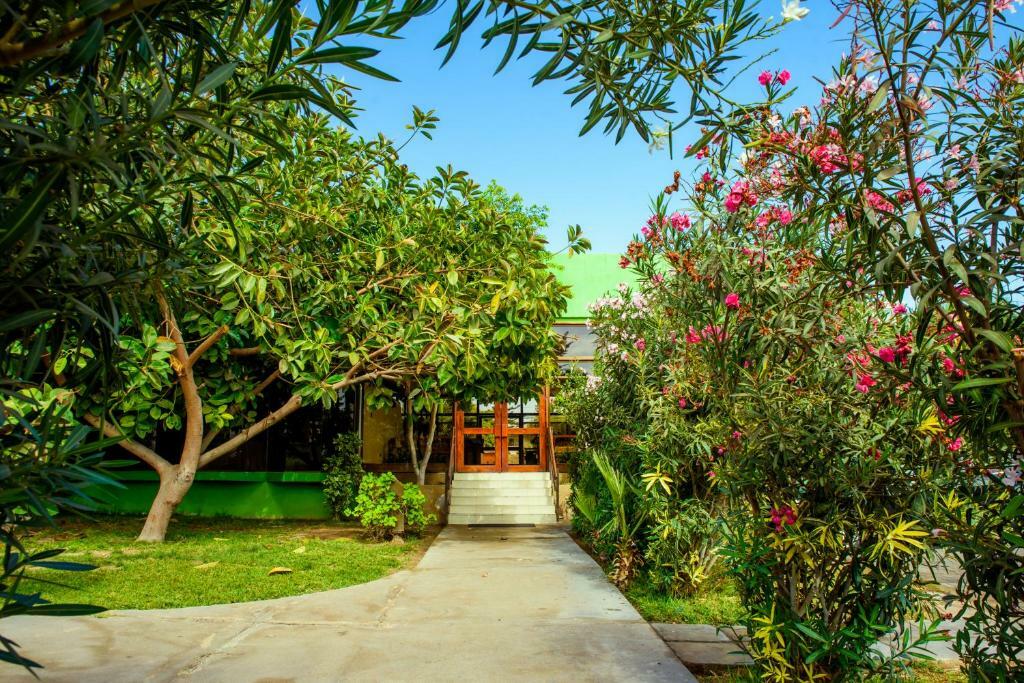 Hotel Del Valle Azapa Арика Экстерьер фото
